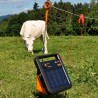 Electrificateur/poste de clôture Gallagher solaire S40 avec batterie (6V - 0,4J) Electrificateurs énergie solaire