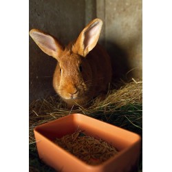 Mangeoire plastique rectangulaire simple Mangeoires