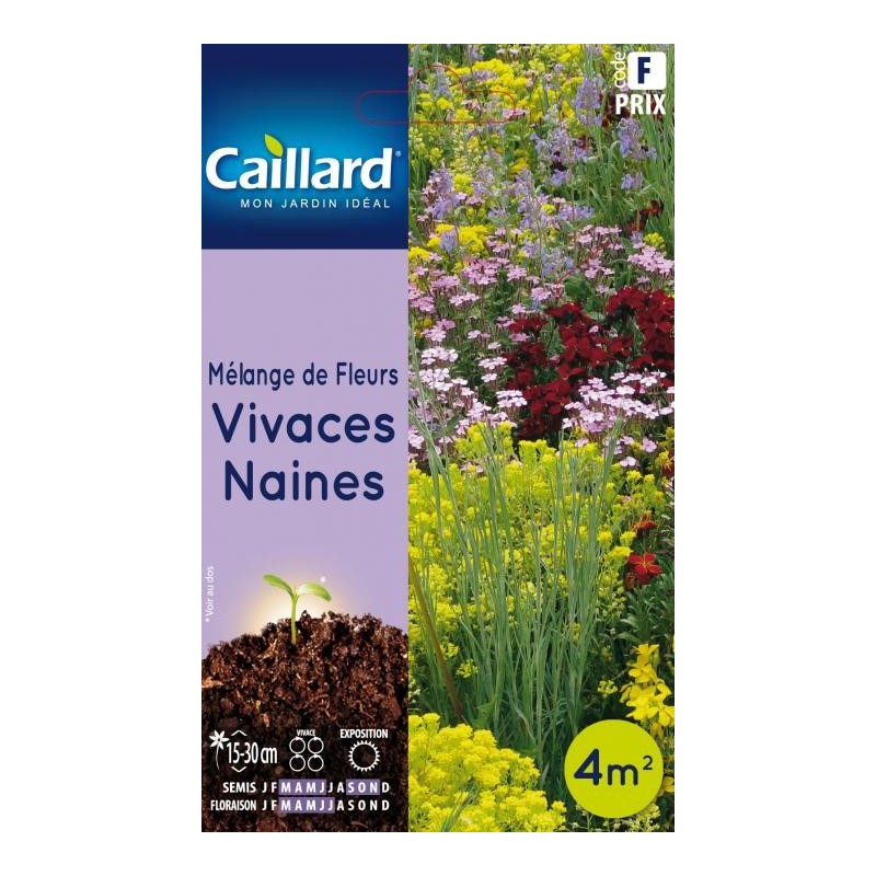 Graines mélange de fleurs vivaces naines Caillard Fleurs