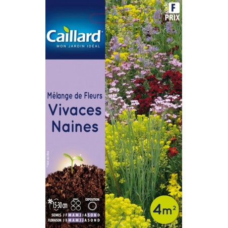 Graines mélange de fleurs vivaces naines Caillard Fleurs