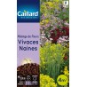 Graines mélange de fleurs vivaces naines Caillard Fleurs