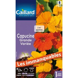 Graines capucine grande variée Caillard Fleurs