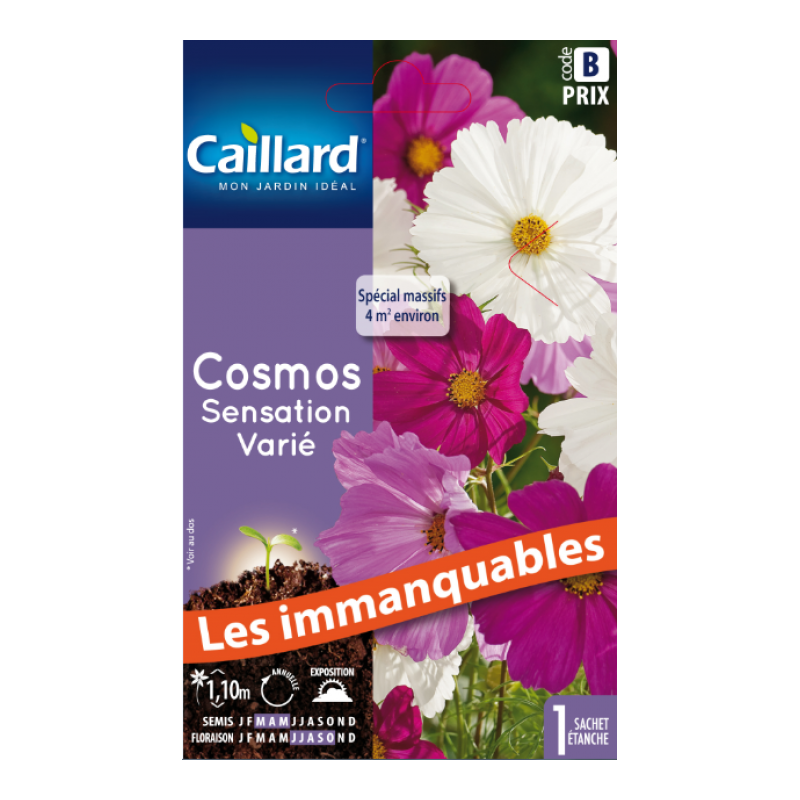 Graines cosmos sensation varié Caillard Fleurs