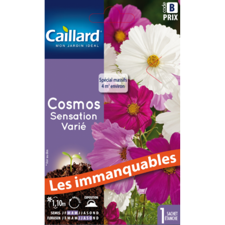 Graines cosmos sensation varié Caillard Fleurs