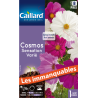 Graines cosmos sensation varié Caillard Fleurs