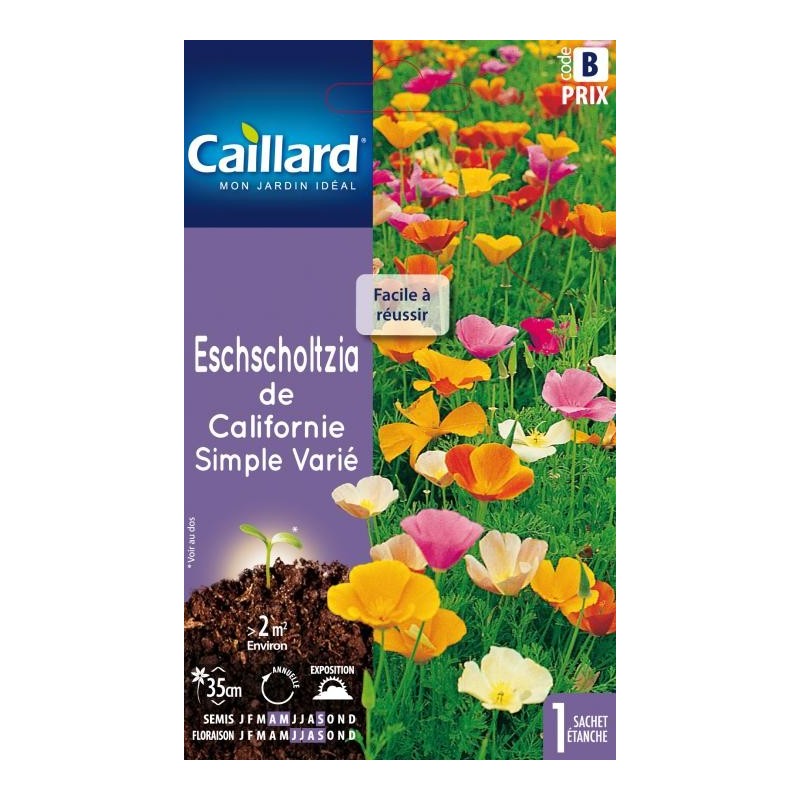 Graines Eschscholtzia de Californie simple varié Caillard Fleurs