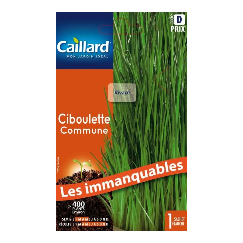 Graines ciboulette commune Caillard Aromatiques