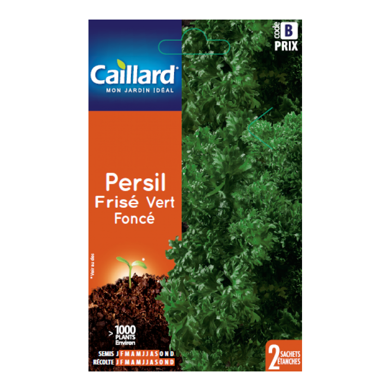 Graines persil frisé vert foncé Caillard Aromatiques