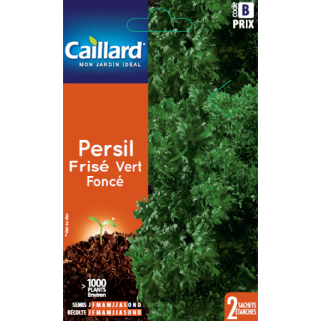 Graines persil frisé vert foncé Caillard Aromatiques