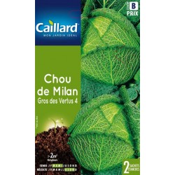 Graines chou de Milan gros des vertus 4 Caillard Légumes