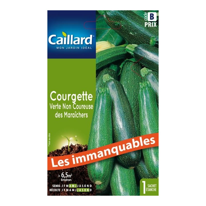 Graines courgette verte non coureuse des maraîchers Caillard Légumes