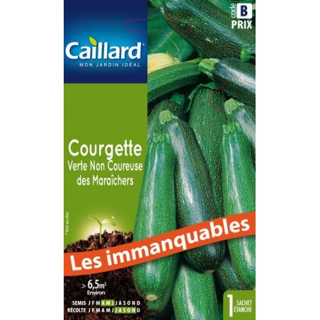 Graines courgette verte non coureuse des maraîchers Caillard Légumes
