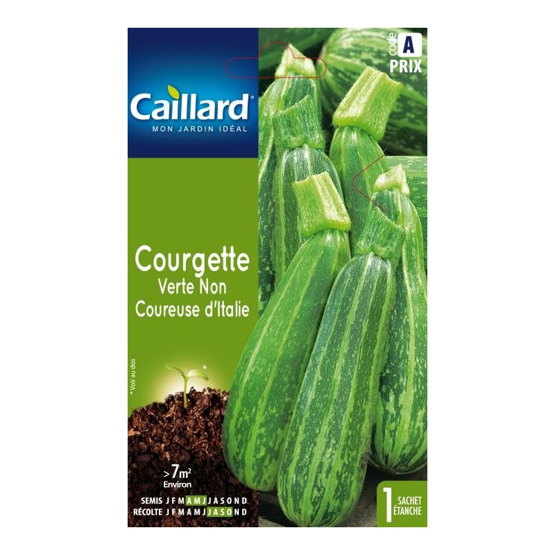 Graines courgette verte non coureuse d'Italie Caillard Légumes