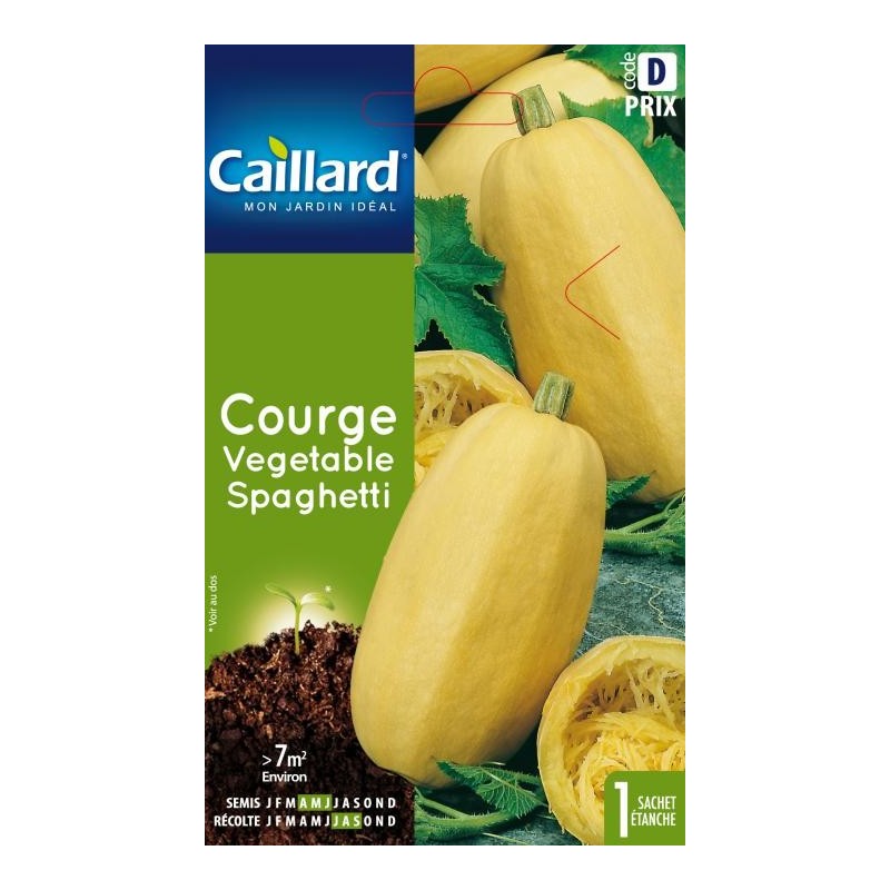 Graines courge vegetable Spaghetti Caillard Légumes