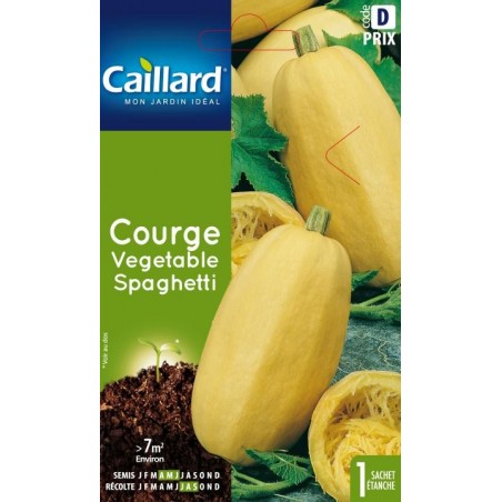 Graines courge vegetable Spaghetti Caillard Légumes
