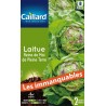 Graines laitue reine de mai de pleine terre Caillard Légumes