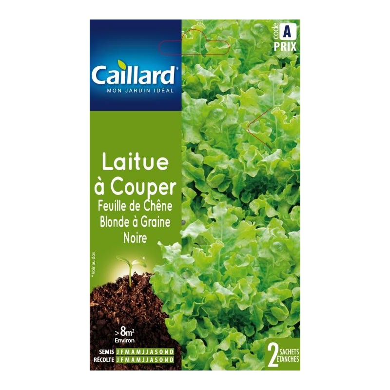 Graines laitue à couper feuille de chêne blonde à graine noire Caillard Légumes