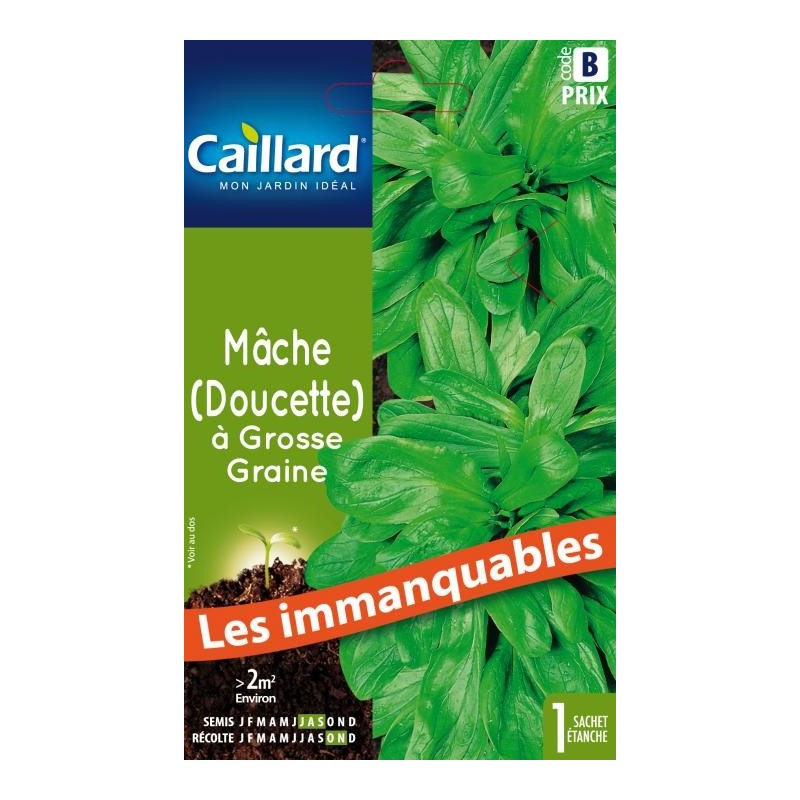 Graines mâche (doucette) à grosse graine Caillard Légumes