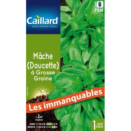 Graines mâche (doucette) à grosse graine Caillard Légumes