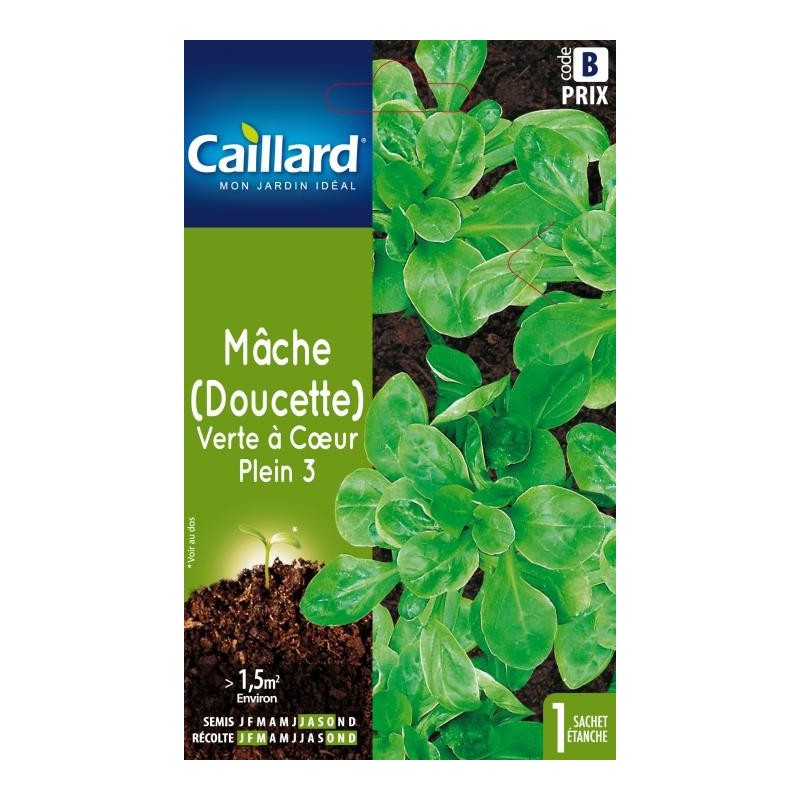 Graines mâche (doucette) verte à coeur plein 3 Caillard Légumes