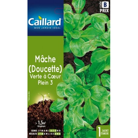 Graines mâche (doucette) verte à coeur plein 3 Caillard Légumes