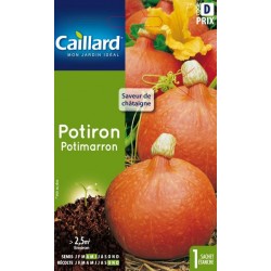 Graines potiron Potimarron Caillard Légumes