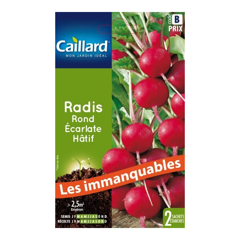 Graines radis rond écarlate hâtif Caillard Légumes