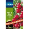 Graines radis rond écarlate hâtif Caillard Légumes
