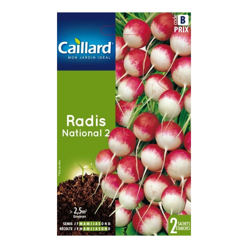 Graines radis national 2 Caillard Légumes