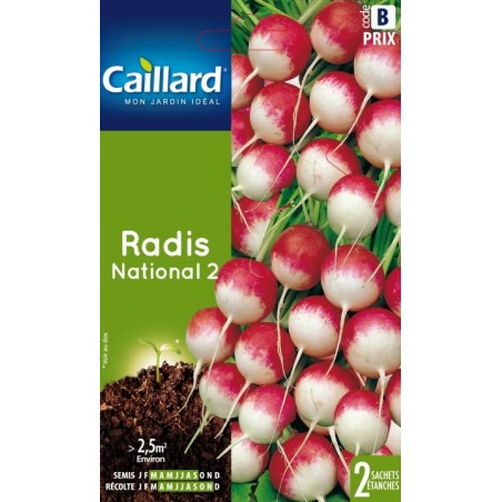 Graines radis national 2 Caillard Légumes