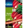 Graines radis de 18 jours Caillard Légumes