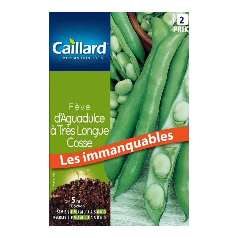 Graines fève d'Aguadulce à très longue cosse Caillard Haricots, pois & fèves