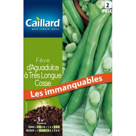 Graines fève d'Aguadulce à très longue cosse Caillard Haricots, pois & fèves