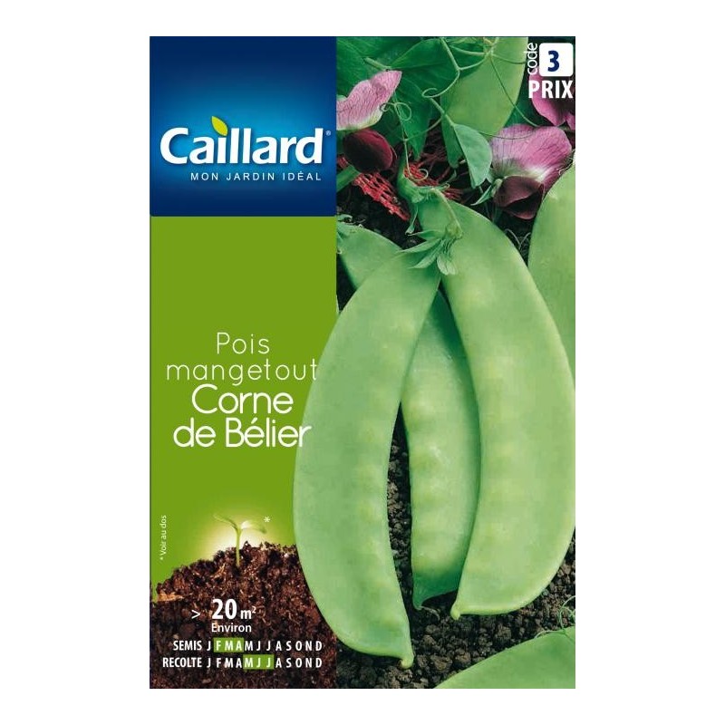 Graines pois mangetout corne de bélier Caillard Haricots, pois & fèves