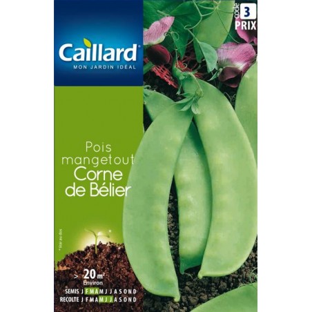 Graines pois mangetout corne de bélier Caillard Haricots, pois & fèves