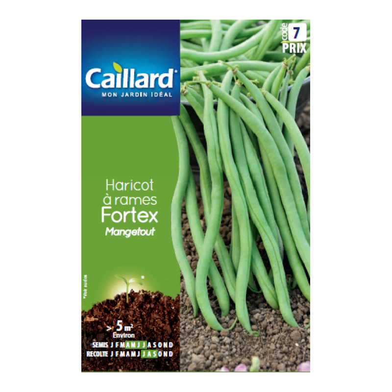 Graines haricot à rames Fortex mangetout Caillard Haricots, pois & fèves