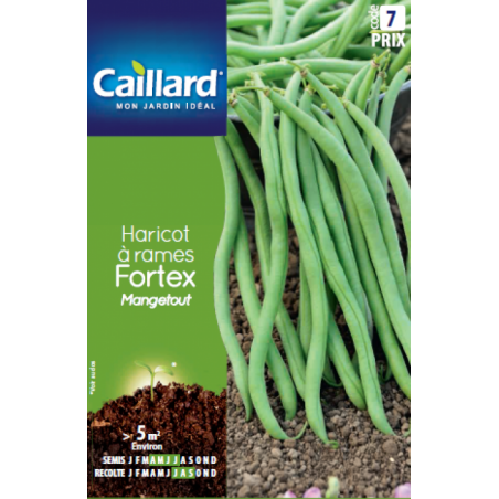 Graines haricot à rames Fortex mangetout Caillard Haricots, pois & fèves