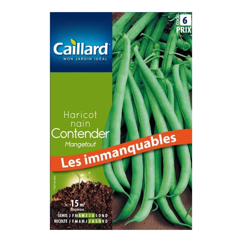 Graines haricot nain Contender mangetout Caillard Haricots, pois & fèves