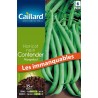 Graines haricot nain Contender mangetout Caillard Haricots, pois & fèves