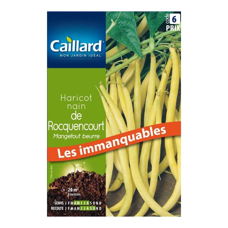 Graines haricot nain de Rocquencourt mangetout beurre Caillard Haricots, pois & fèves
