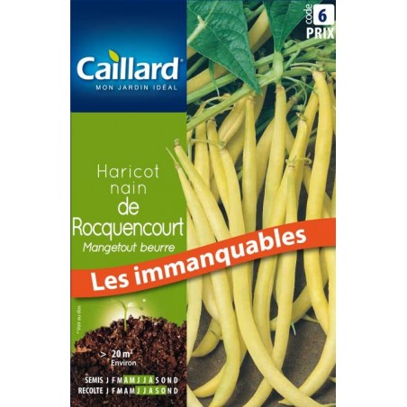 Graines haricot nain de Rocquencourt mangetout beurre Caillard Haricots, pois & fèves