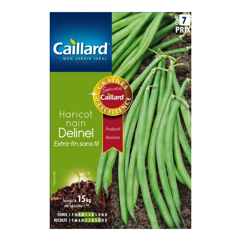 Graines haricot nain Delinel extra-fin sans fil Caillard Haricots, pois & fèves