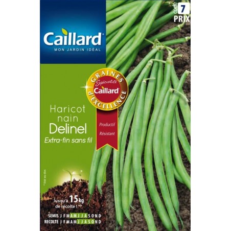 Graines haricot nain Delinel extra-fin sans fil Caillard Haricots, pois & fèves