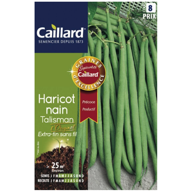 Graines haricot nain Talisman extra-fin sans fil Caillard Haricots, pois & fèves