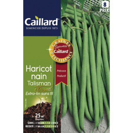 Graines haricot nain Talisman extra-fin sans fil Caillard Haricots, pois & fèves