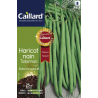 Graines haricot nain Talisman extra-fin sans fil Caillard Haricots, pois & fèves