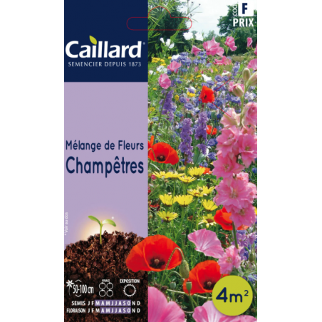 Graines mélange de fleurs champêtres Caillard Fleurs