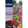 Graines mélange de fleurs champêtres Caillard Fleurs