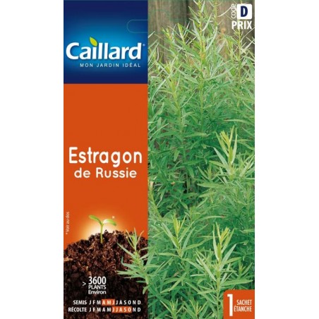 Graines estragon de Russie Caillard Aromatiques