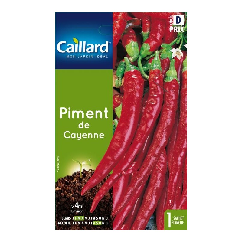 Graines piment de Cayenne Caillard Légumes